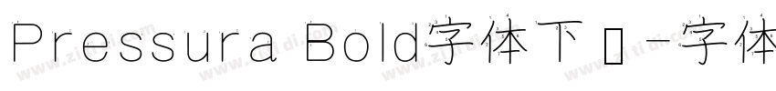 Pressura Bold字体下载字体转换